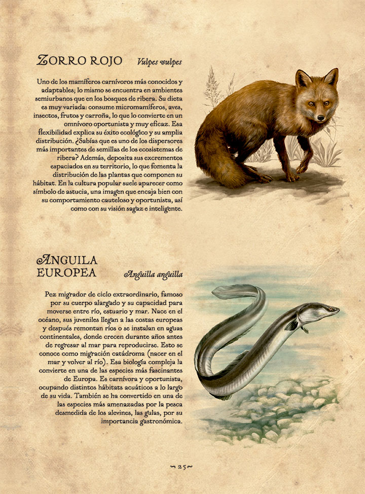 La Sociedad del Río - Imagen 4