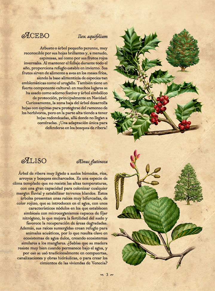 La Sociedad del Río - Imagen 5